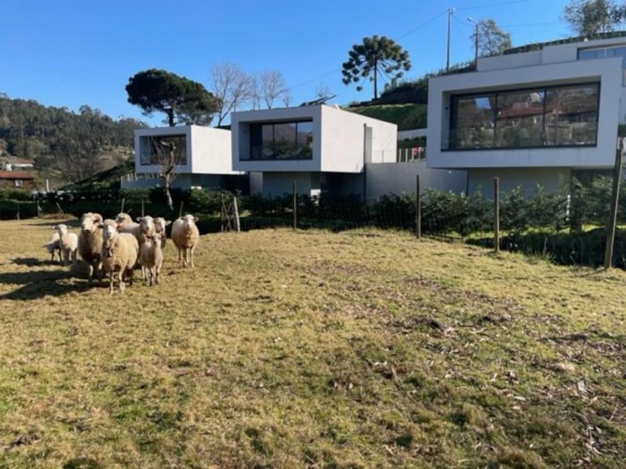 Viana Do Castelo - Amonde Village -Casa A * Relax Buitenkant foto